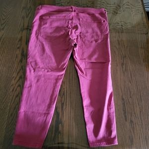 Plus Pink Jeans